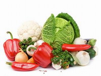 food-importer-list