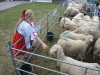 Slovak-lamb